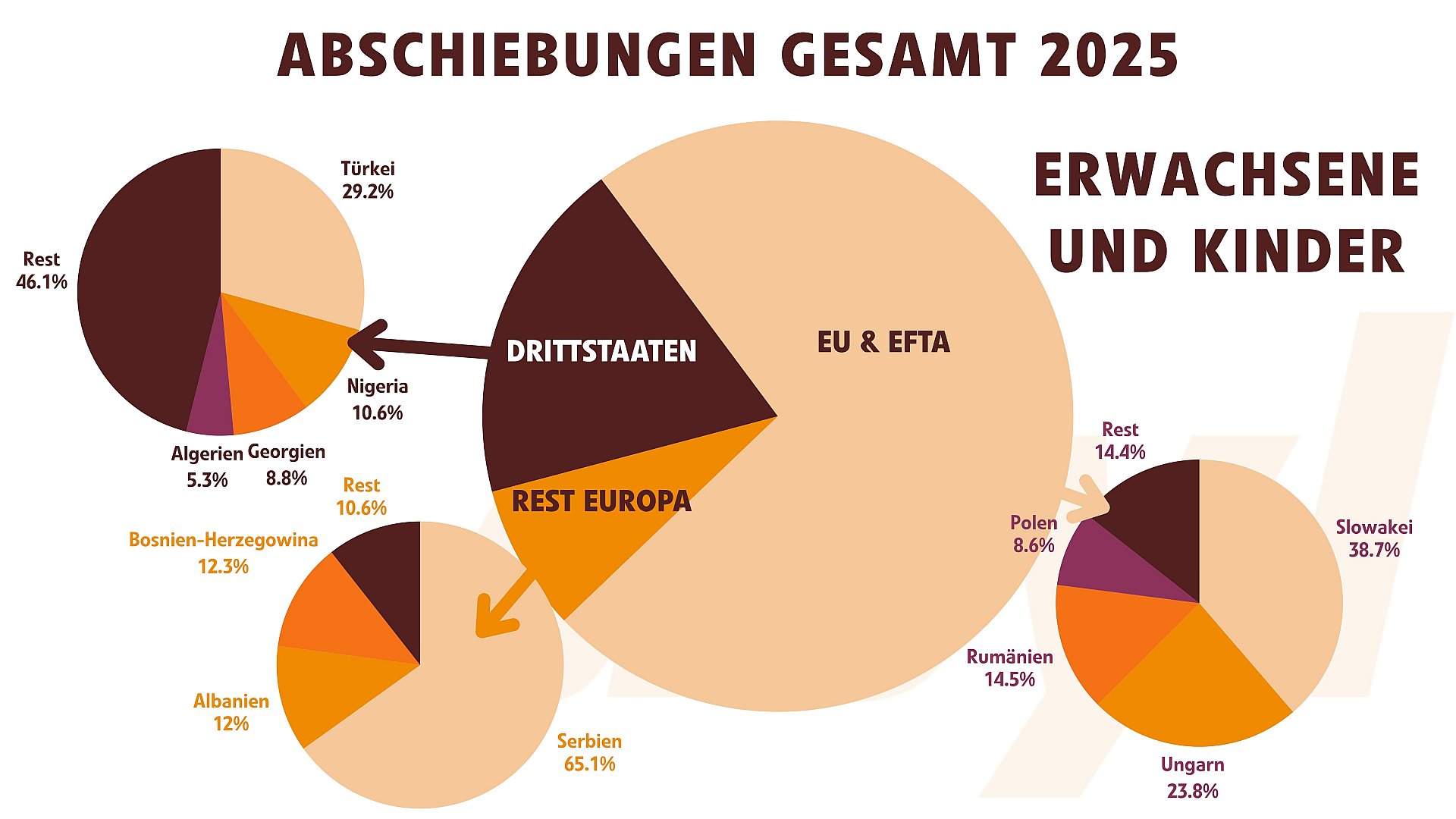 Abschiebungen 2025 im Detail
