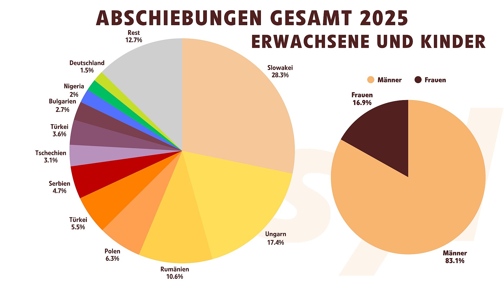 Abschiebungen 2025: Herkunftsländer und Geschlecht