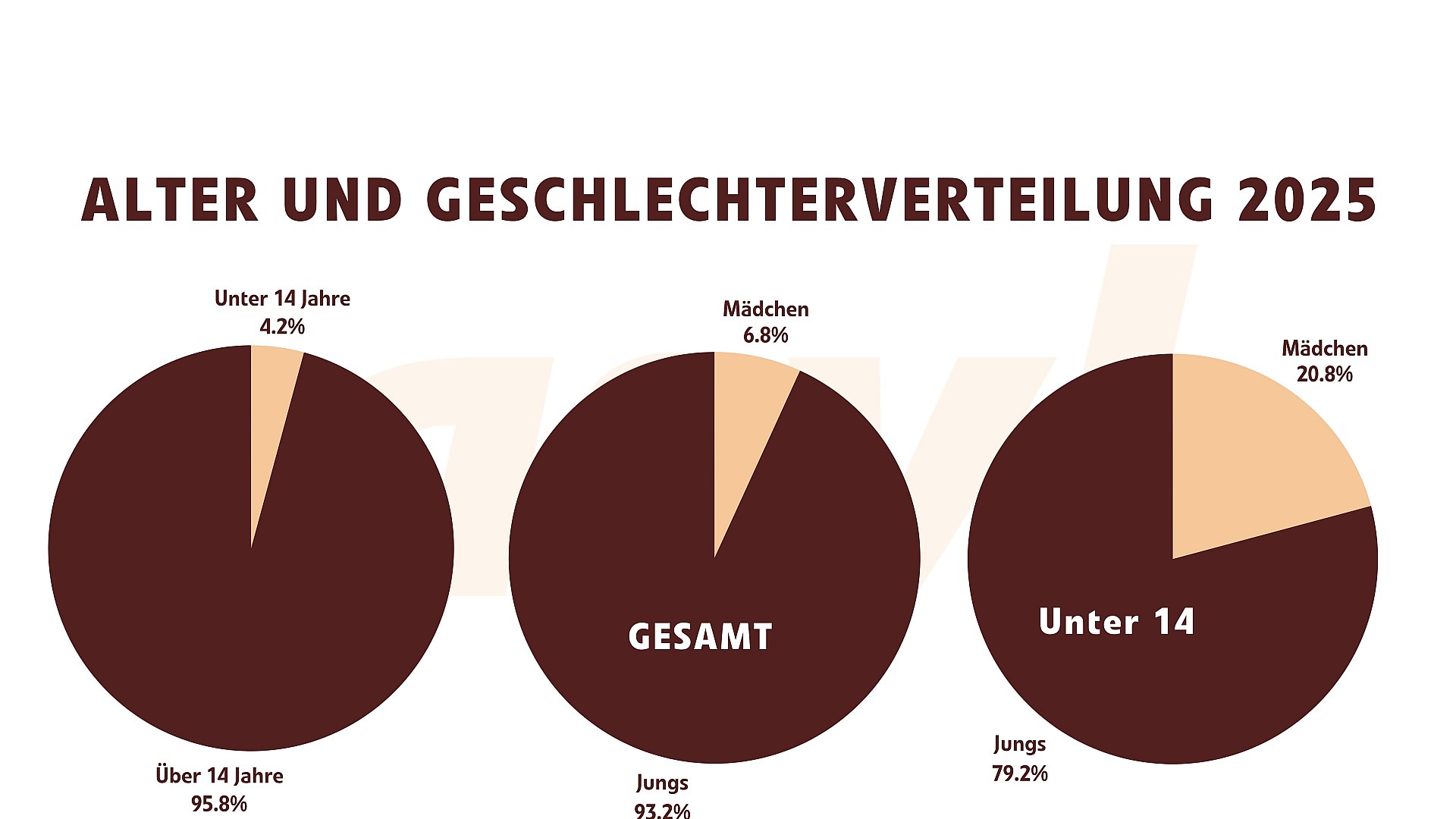 Alter und Geschlechterverteilung Asylanträge Fluchtwaisen 2025