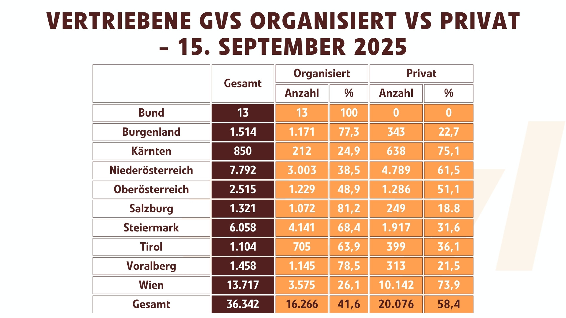 Vertriebene in GVS - Organisiert vs Privat (15.09.2025)