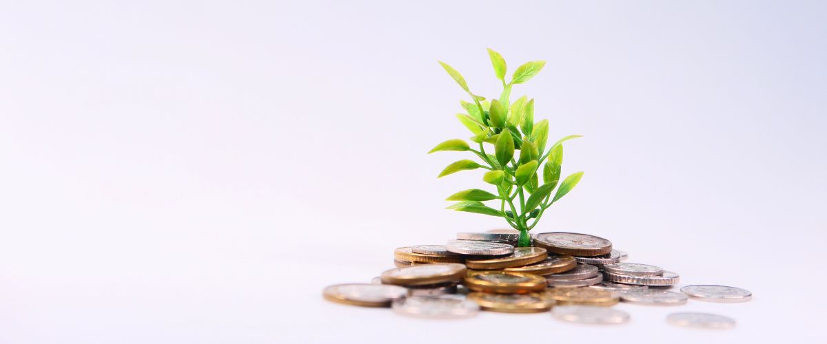 Eine kleine Pflanze wächst auf einem Häufchen Münzen.